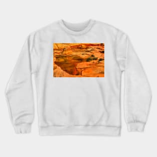 Arizona Desert Oasis Crewneck Sweatshirt